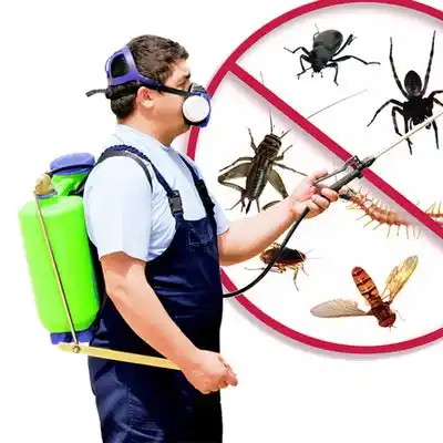 pest control Santo Domingo Pueblo